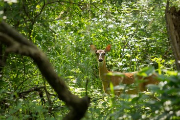 20170625_untitled_7334