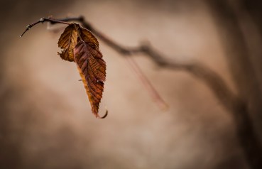 20180203_untitled_19016-Edit