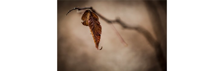 20180203_untitled_19016-Edit